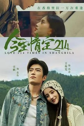 感人至深的爱情故事《今生情定214》