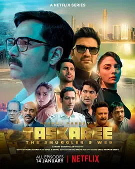 揭秘缉私行动：剧情紧凑的《海关英雄》